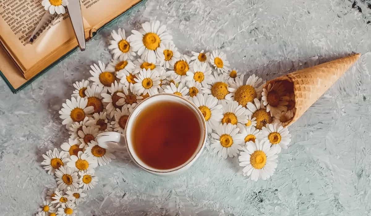 Try These 5 Herbal Drinks For A Good Night's Sleep