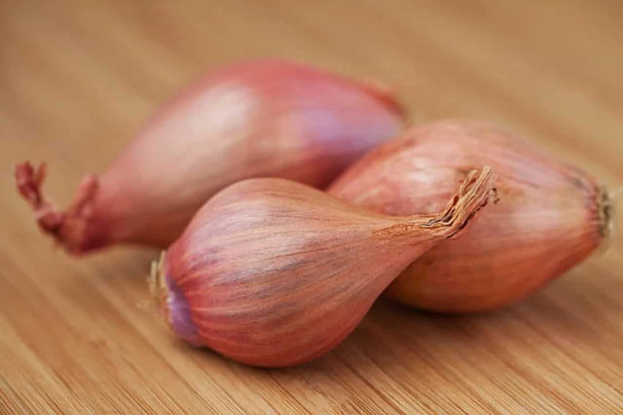 Shallots: Why These Small Onions Must Be A Part Of Your Diet?