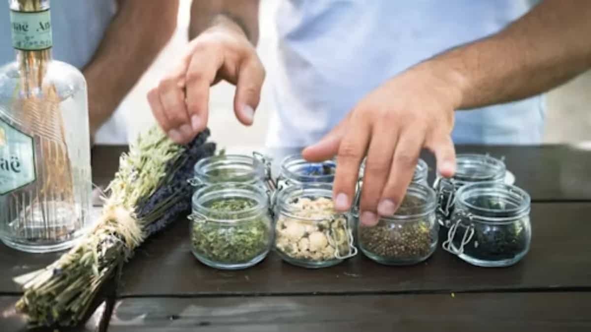 Kitchen Garden Hacks Tips To Store Seeds Before Planting