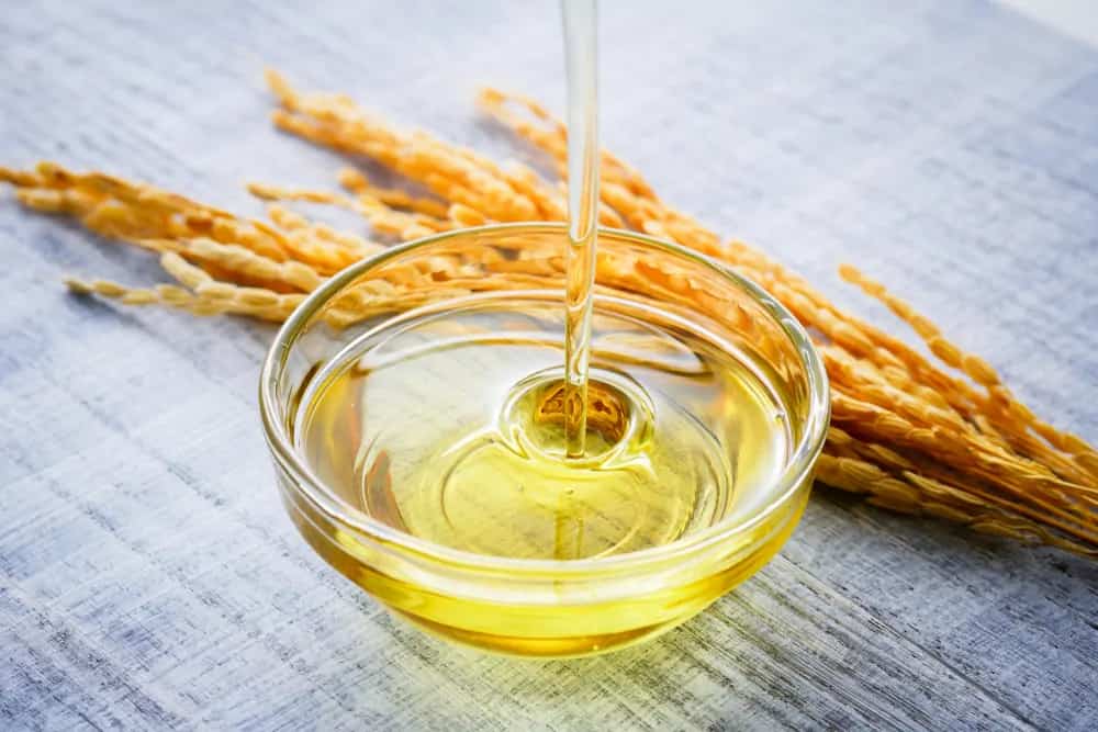 Rice Bran Oil: Utility To Health To Side Effects All About It
