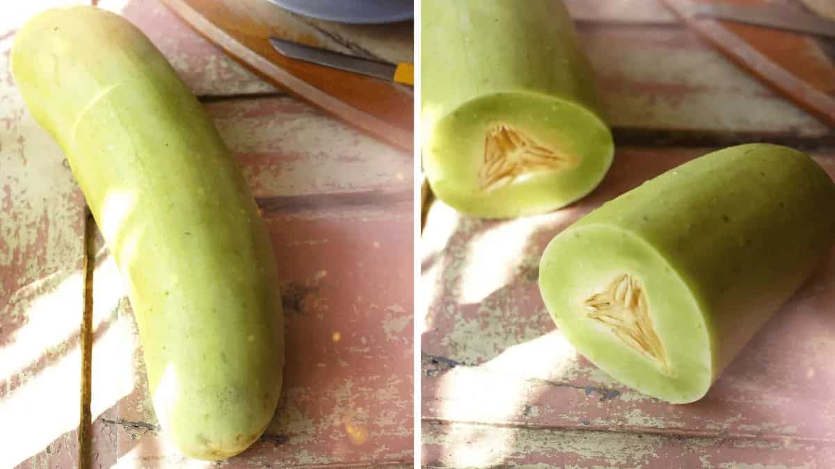 Balam Kakdi The Seasonal Special Cucumber From Central India