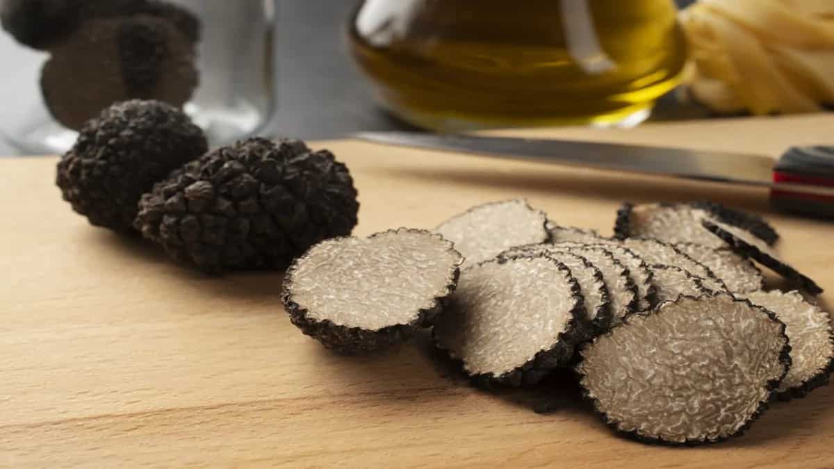 Truffle Mania Truffles In The Indian Culinary Scene