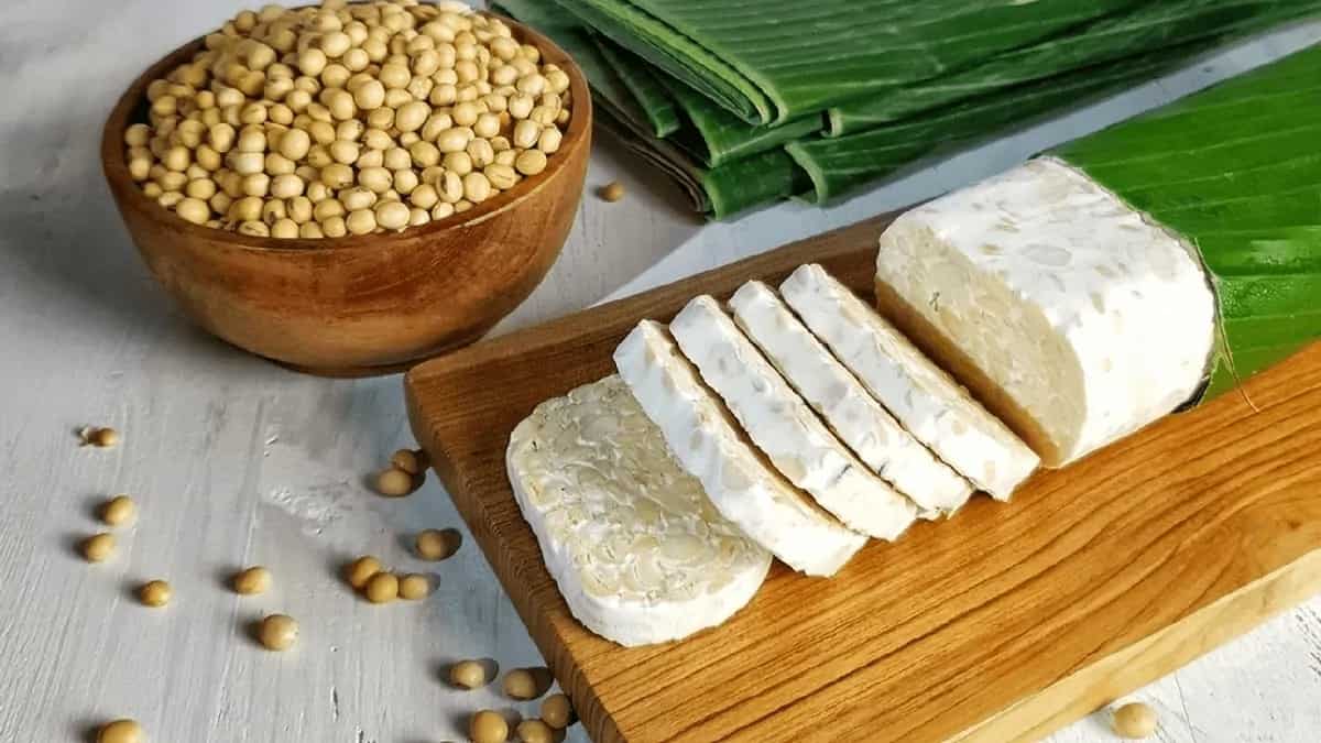 2023 Roots For Tempeh! Know Why You Must Eat It!