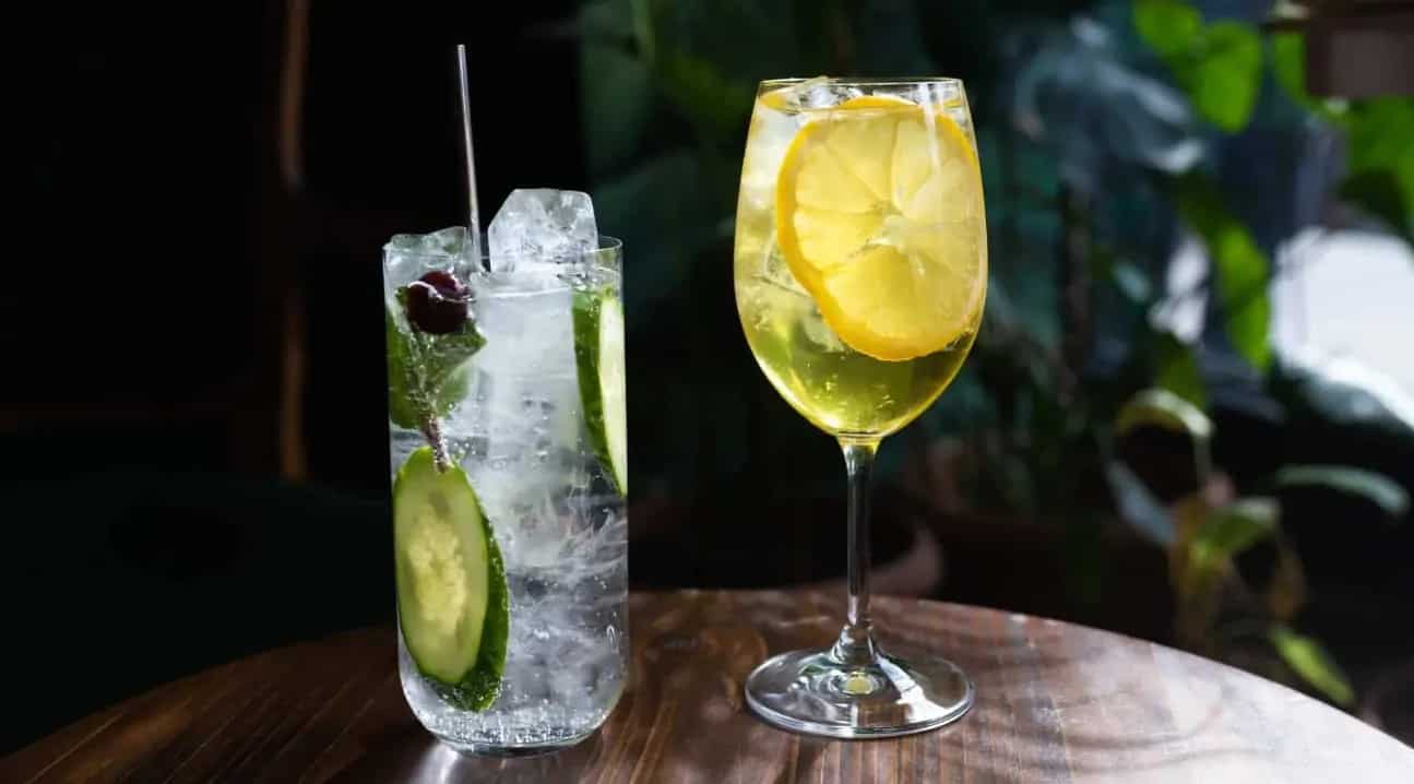 Mojito Vs Mint Julep What Are The Major Differences?