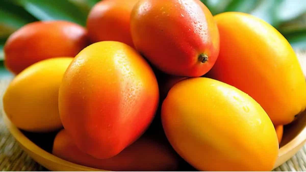 9 Easy Alphonso Mango Recipes To Try Out This Summer Weekend