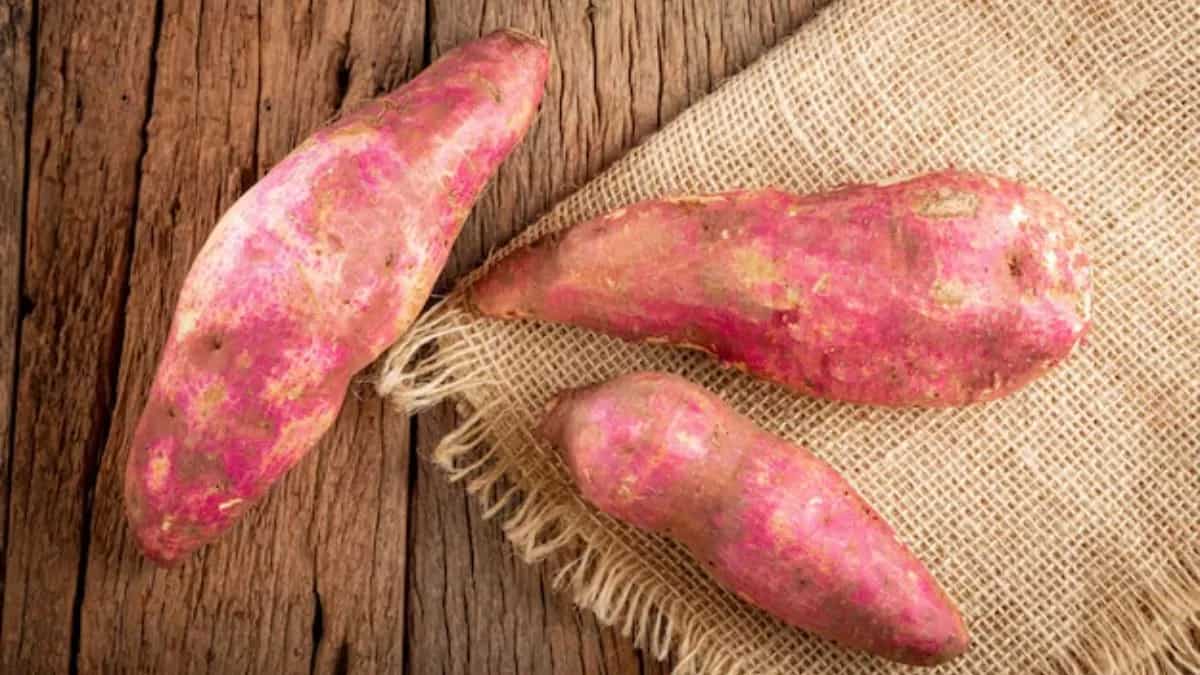Planting Sweet Potato: Here Is Your Ultimate Guide To Do It