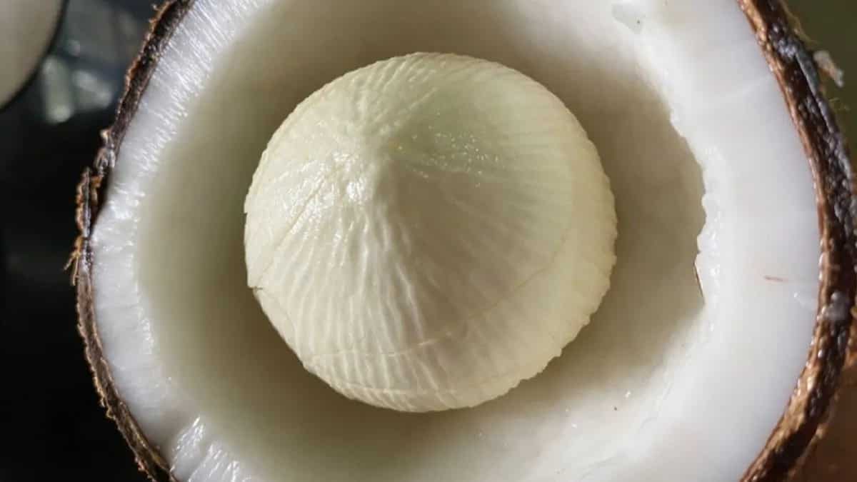 Coconut Embry Heard About Coconut Embryo? You Must Start Eating! Here Is Why