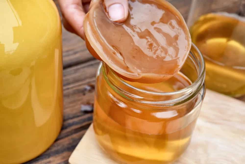What Makes Kombucha The Perfect Health Drink? 