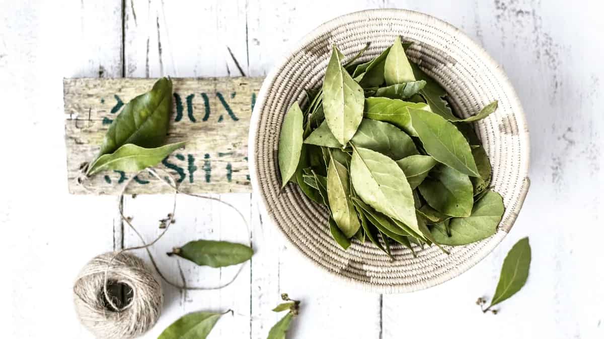 Ever Wondered Why Bay Leaves Are Used Whole In Cooking?