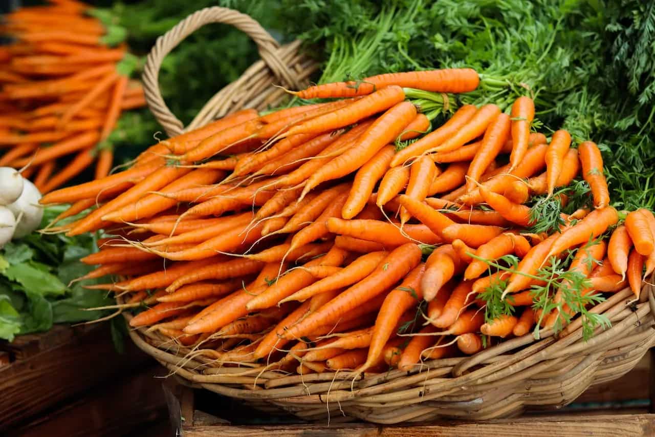 Want To Shed Belly Fat? 8 Weight Loss Benefits Of Eating Carrots This Fall