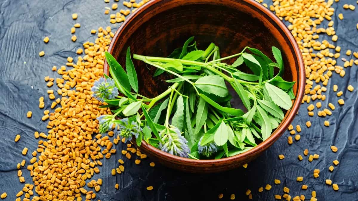 How To Grow Methi At Home? Kitchen Garden Hacks