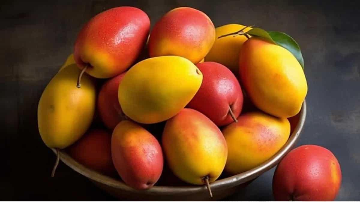 8 Tips For Identifying Alphonso Mangoes