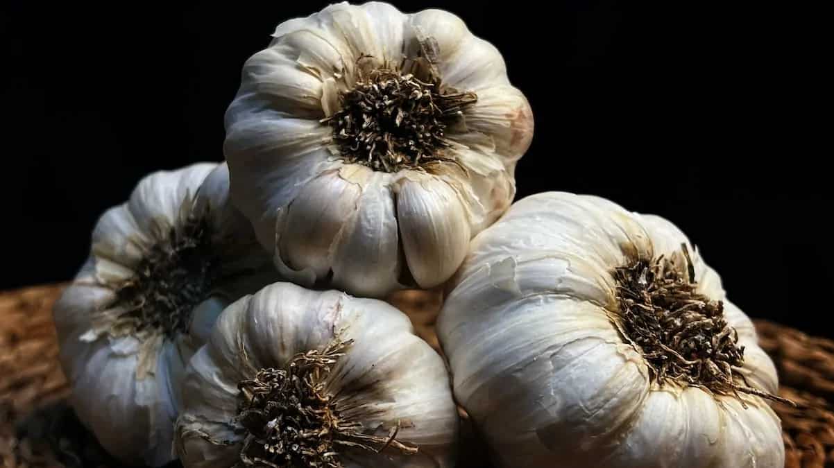 Valentine's Day: Ayurveda Approved Aphrodisiacs To Stir Romance