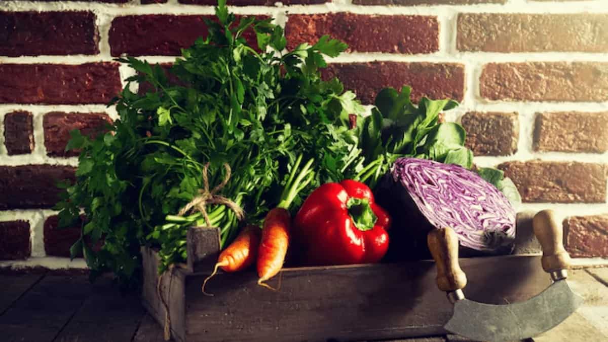 Best Fruits And Vegetables To Plant In The Winter Season