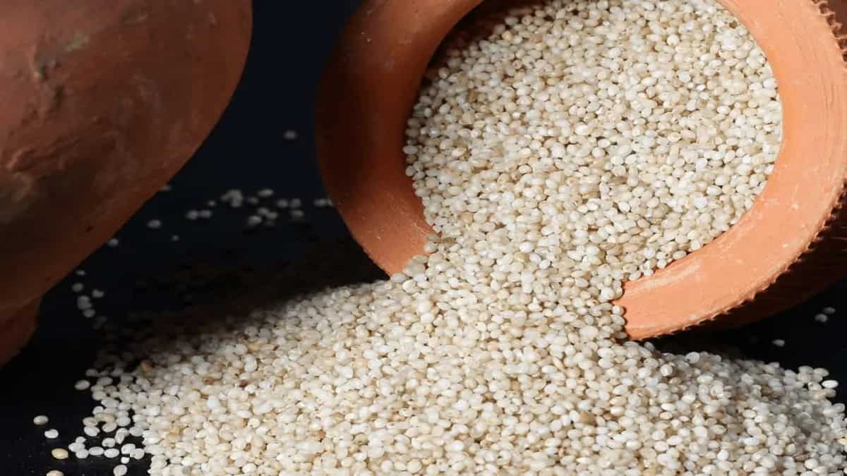 High Fibre To Gut Health, 9 Health Benefits Of Samak Chawal