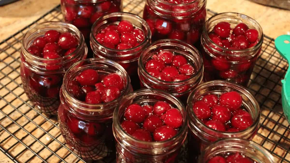 Make Your Own AlcoholFree Maraschino Cherries At Home Using 6 Key Tips