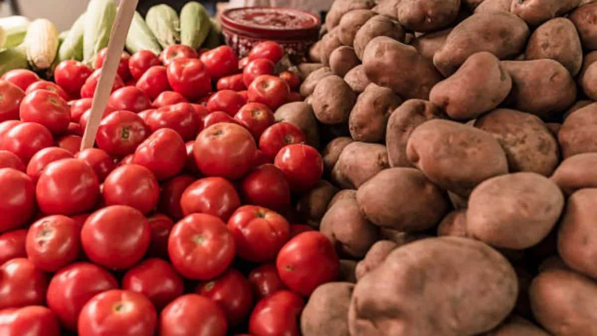 Shocking Discovery: Tomatoes Are the Secret Parents of Potatoes! 🍅🥔