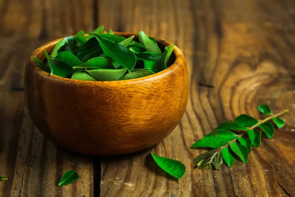 Curry Leaves: What Makes It An South Indian Pantry Essential?
