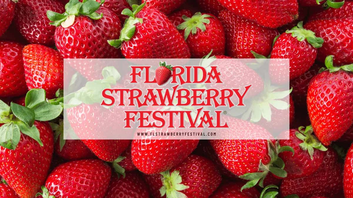 7 New Foods Introduced At The 2025 Florida Strawberry Festival