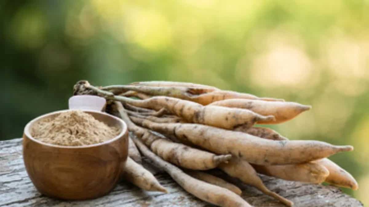 The Role of Shatavari In Ayurvedic Medicine: A Herbal Overview