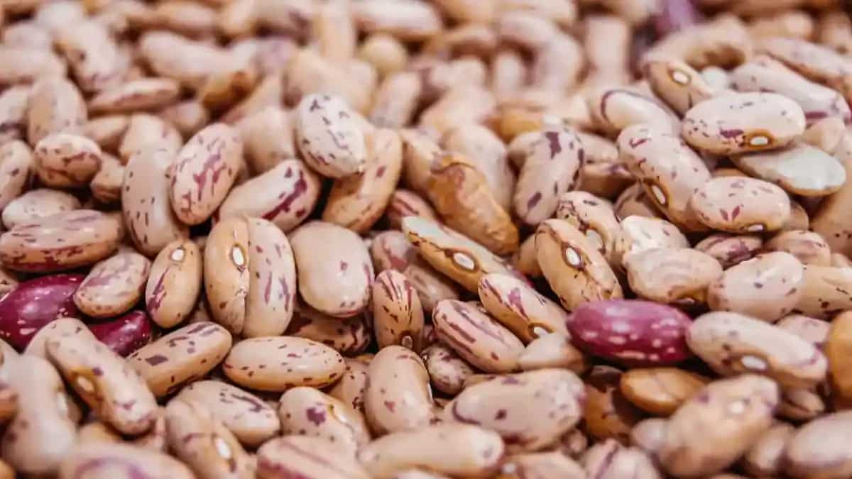 Irregular Bowel Movements? Add 8 Fibre-Rich Foods To The Diet