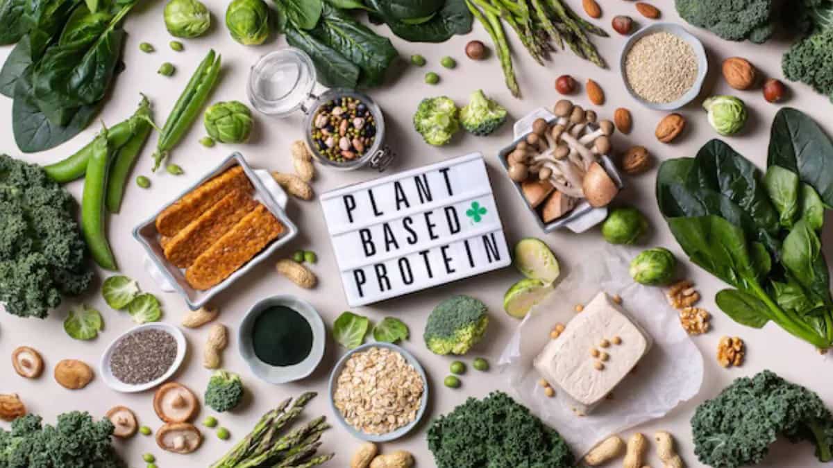 8 Health Benefits Of A Plant-Based Diet