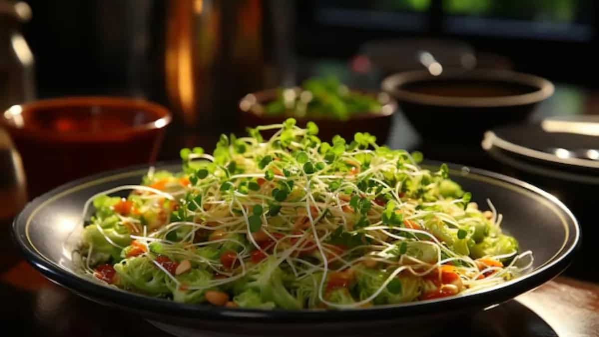 Why Should You Add Sprouts Salad To Your Diet?
