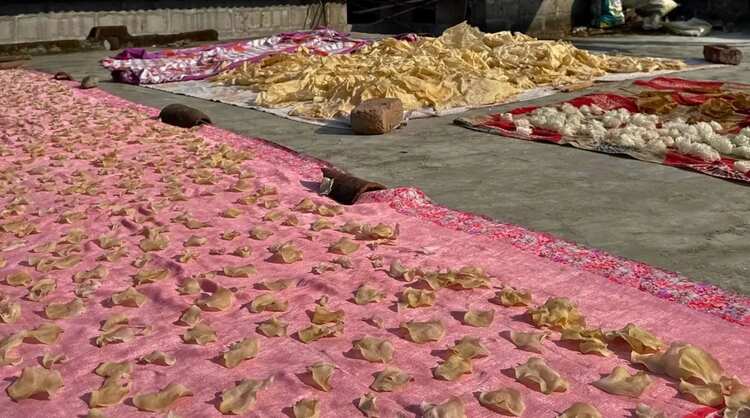 The Story Of Valvan: When The Sun Did The Preserving