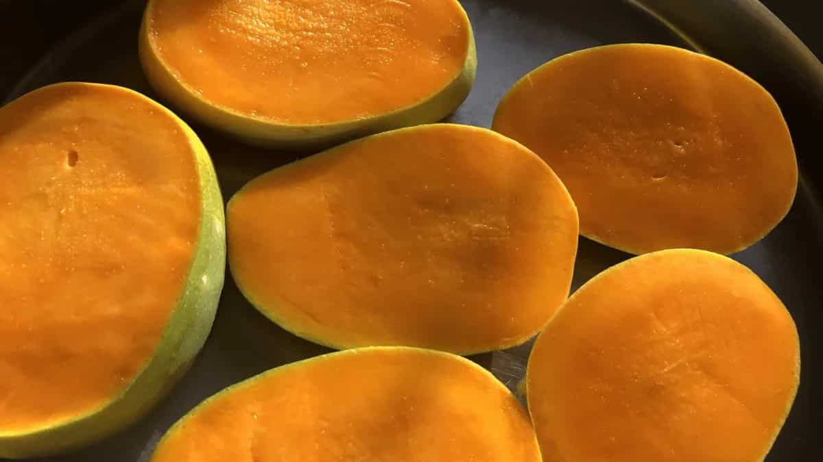Tasted Gir Kesar? The GI-Tagged Mango From Gujarat