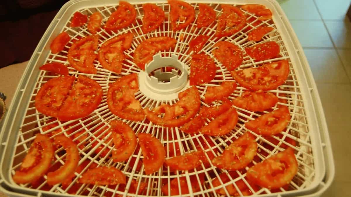 Food Dehydrator Vs. Freeze Dryer Breaking Down The Process, Basic