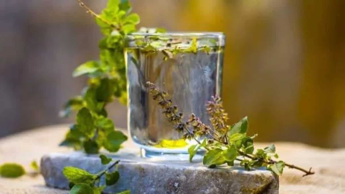 Tulsi Water: 5 Reasons To Add This Herb To Your Drinking Water