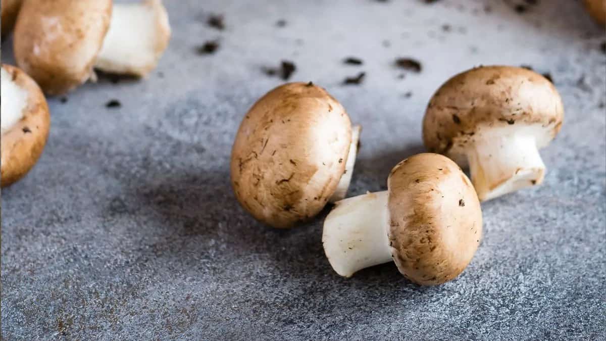 Could Regular Mushrooms Be A Secret Source Of Vitamin D? 