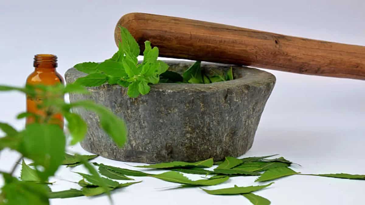 7 Herbs To Have With Milk For Stronger Immunity