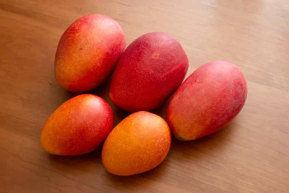 Siliguri Mango Festival Sees World's Costliest Miyazaki Mango