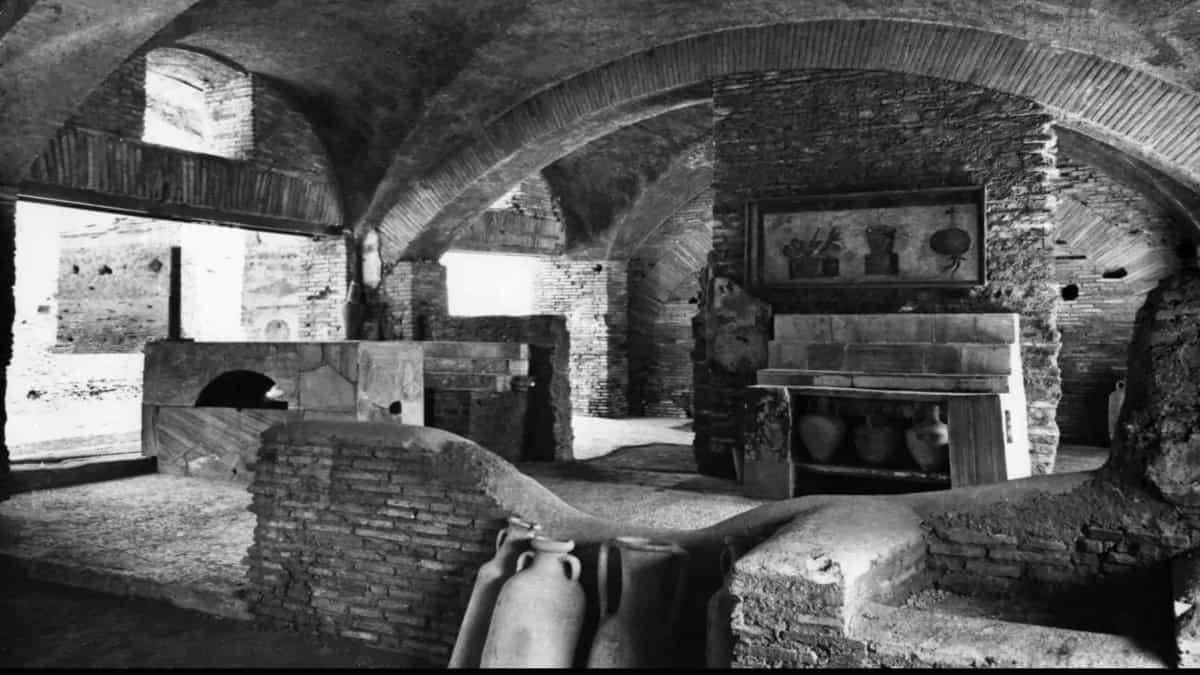 What 5000-Year-Old Tavern? Excavation Finds Food, Oven & Fridge