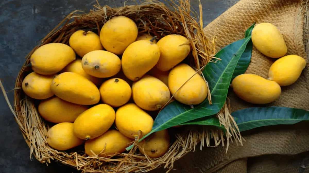 From Alphonso To Badami, Top 11 Types Of Mango In India