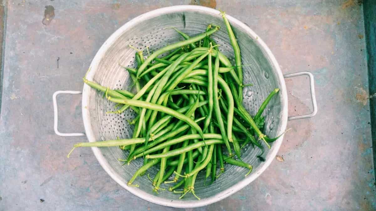 For Heart Health Eat These 7 Cholesterol Lowering Foods