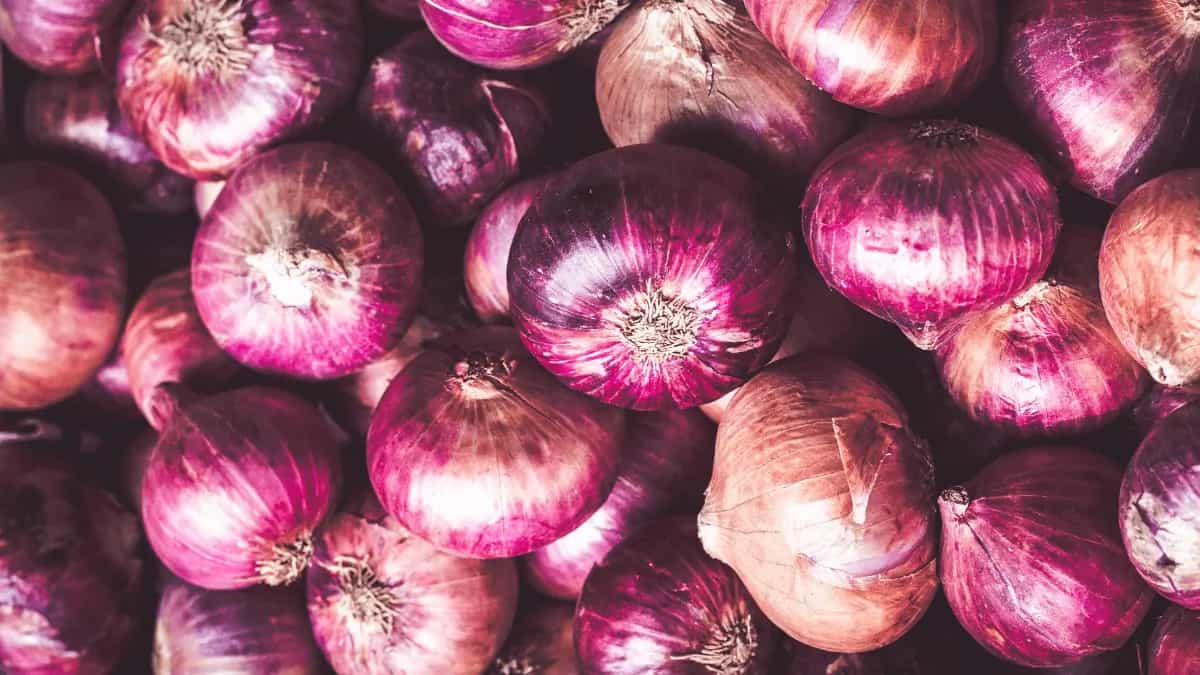 Know Your Onions A Guide To Alliums
