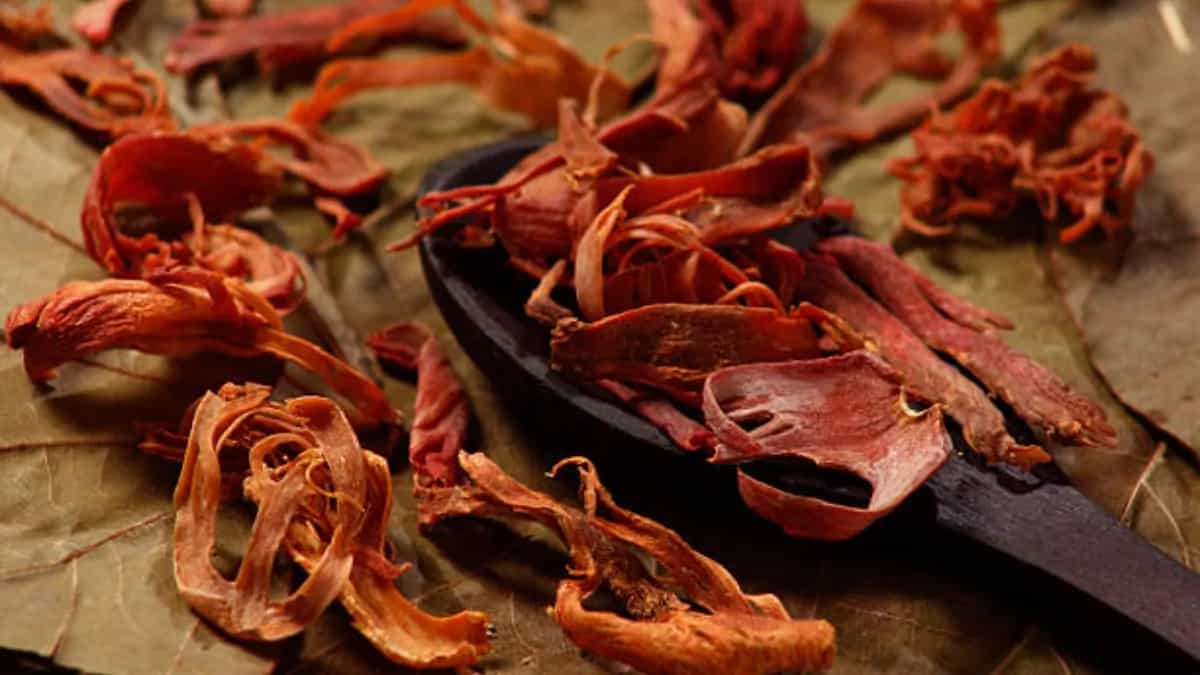 Javitri Through Time How The Spice Is Used In Indian Cooking