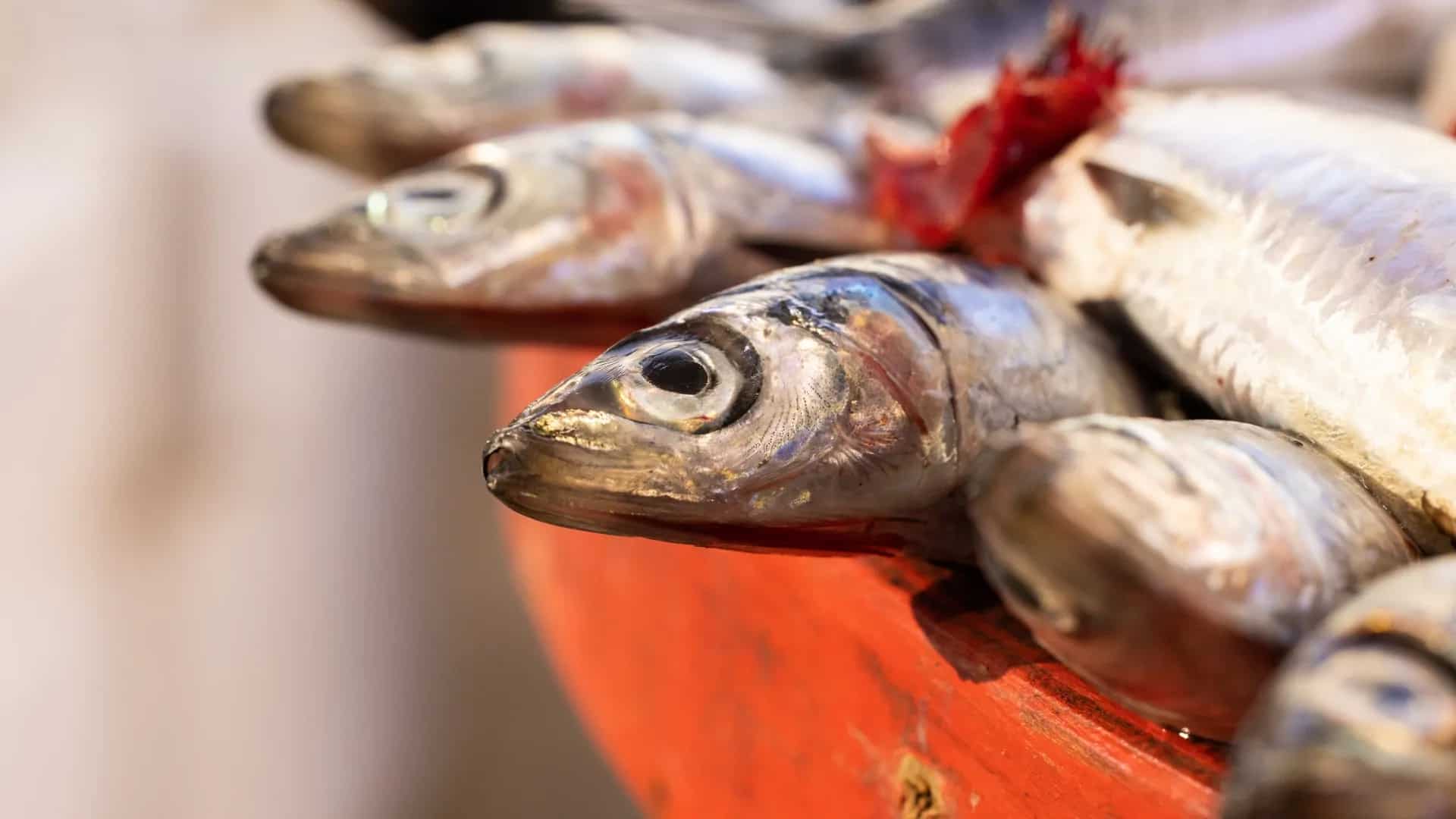 What Makes Mackerel A Favourite In Mangalorean Cuisine