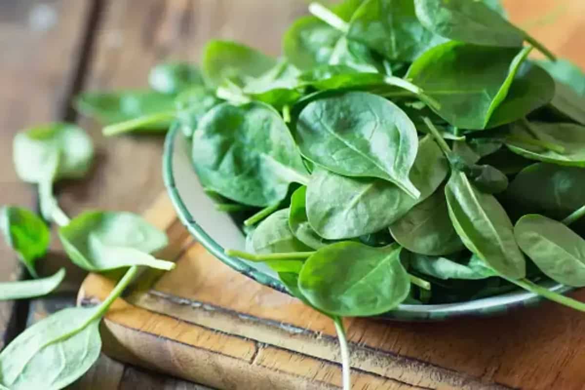 5 Foods For Weight Loss Heart Health And Diabetes 5-foods-for-weight-loss-heart-health-and-diabetes
