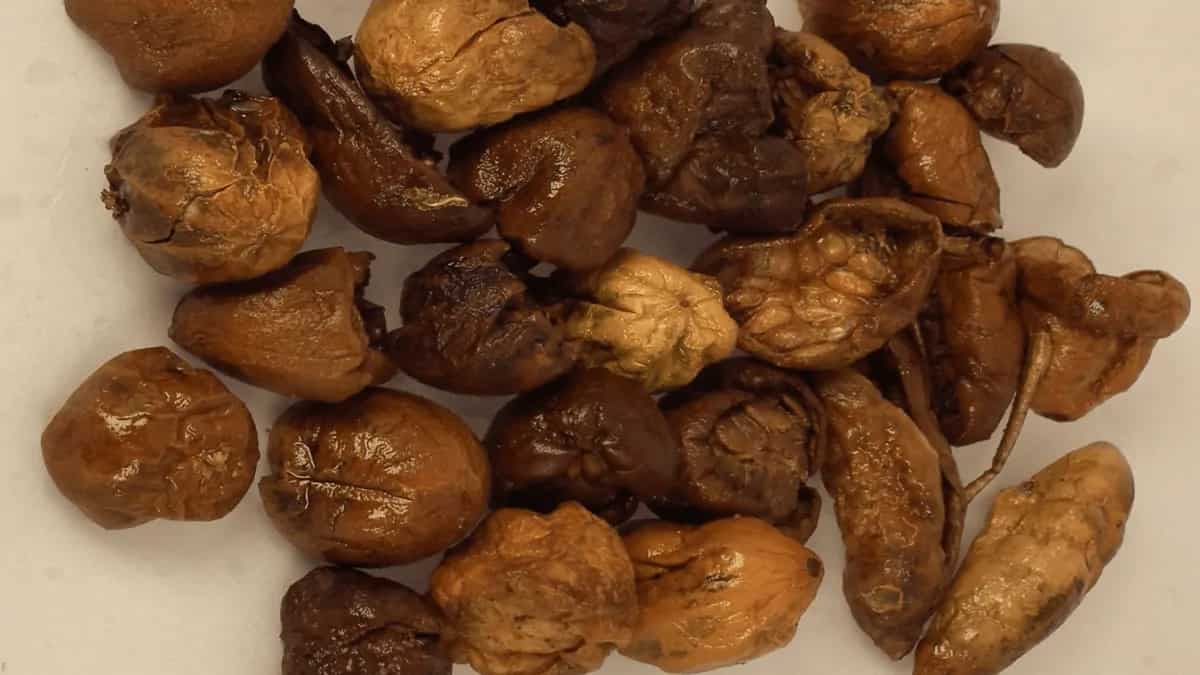 Vathal The Tradition Of Sun Drying Vegetables In South India