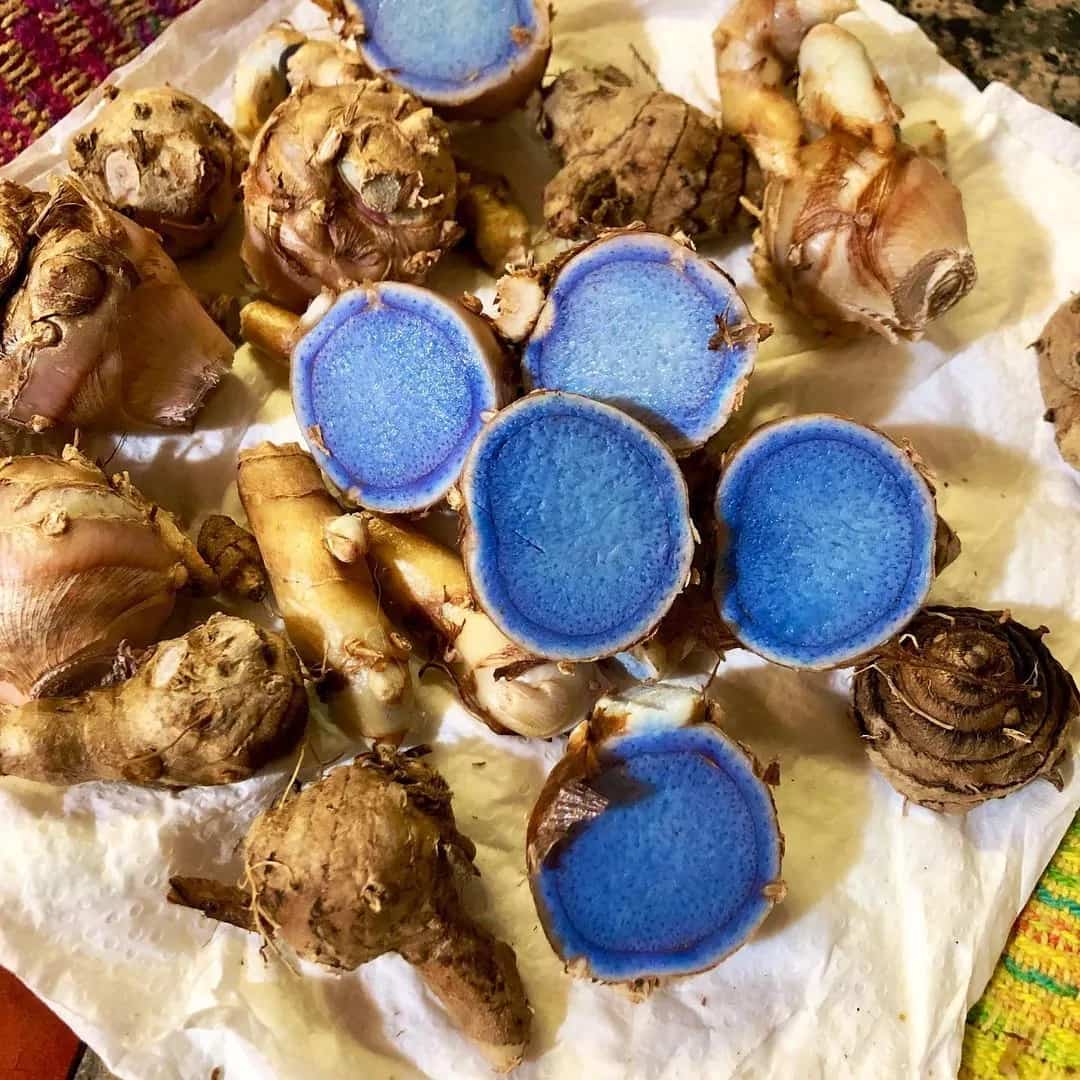 Black Turmeric: How To Use This Trending Kali Haldi In Cooking