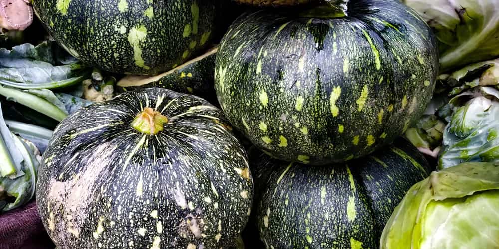Eat Seasonal: Tips To Buy Nutrition-Packed Pumpkin  