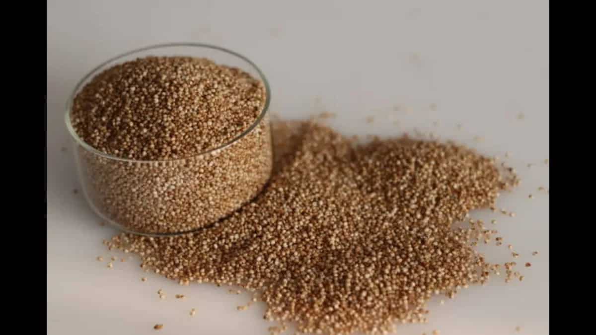 Vilag Rice Varagu Rice Benefits: 5 Healthy Reasons To Consume This Millet