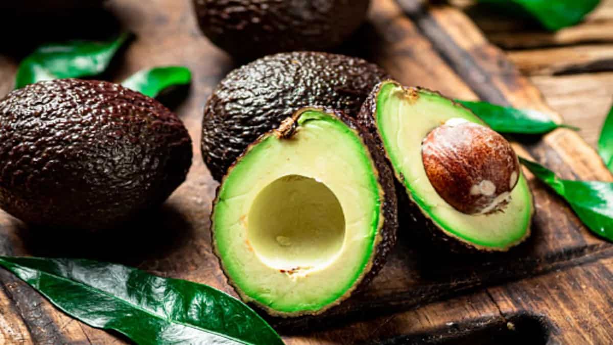 Avocado To Salmon, 6 Foods For The Weight Loss Diet