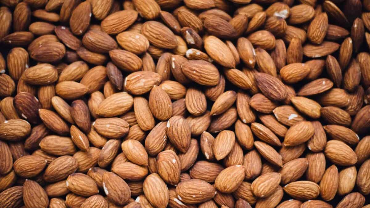 Are Almonds Good For Your Gut Health?