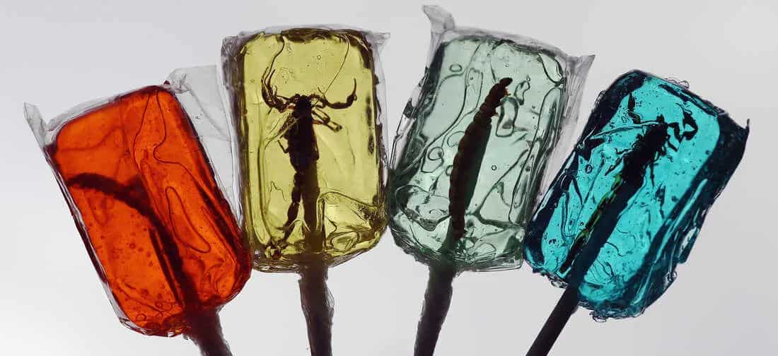 Bug Candy: Truly Sweet Or Just Plain Buggy?