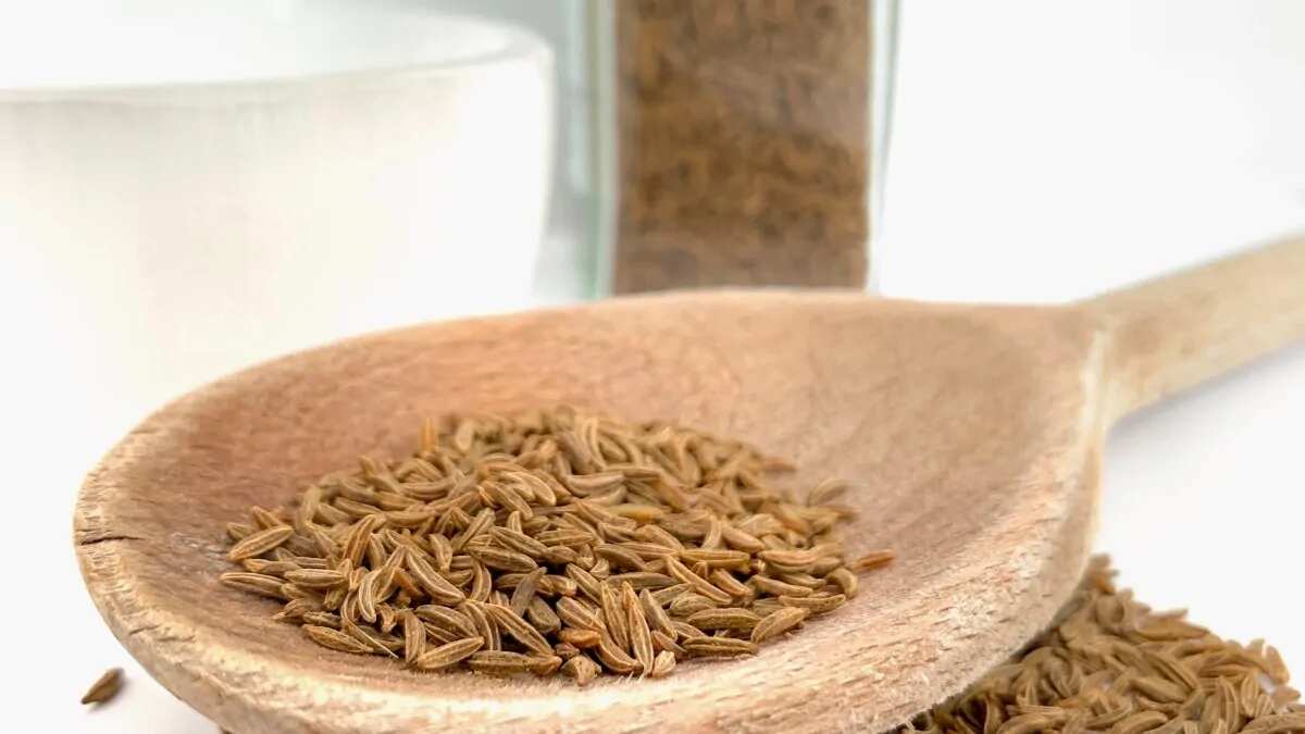 8 Different Benefits Of Drinking Fennel Water In The Morning