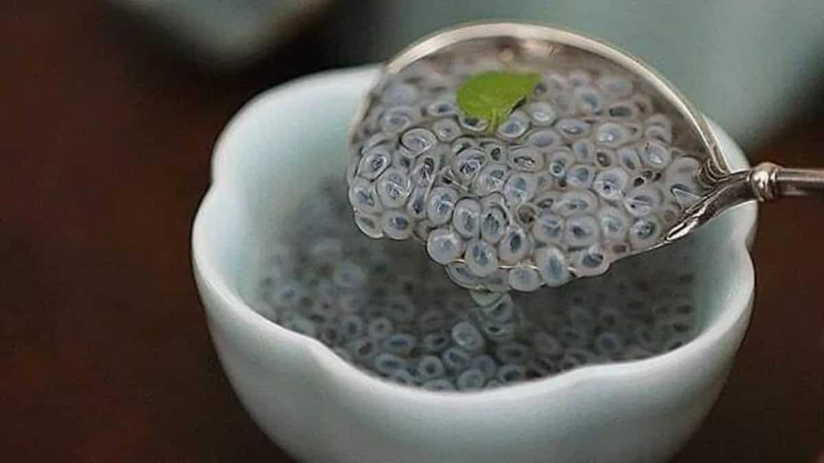 Sabja Seeds & Belly Fat, The Direct Connect To Burn Those Flabs